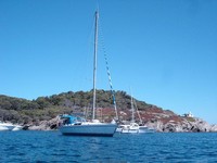 **yachting-direct** 346_gibsea422-photo 1