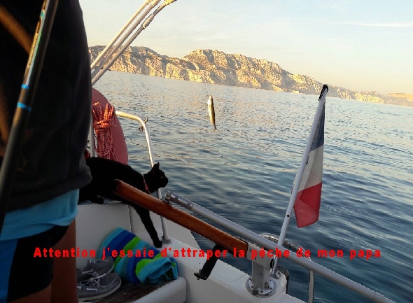 **yachting-direct** yachting_direct_etap26-photo_4